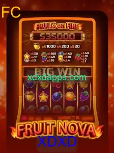 Descubra o Universo de FruitNova: O Jogo Que Está Conquistando o Mundo